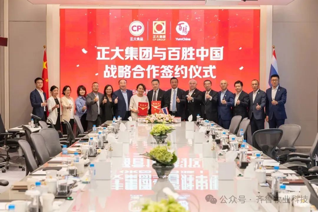 签约仪式