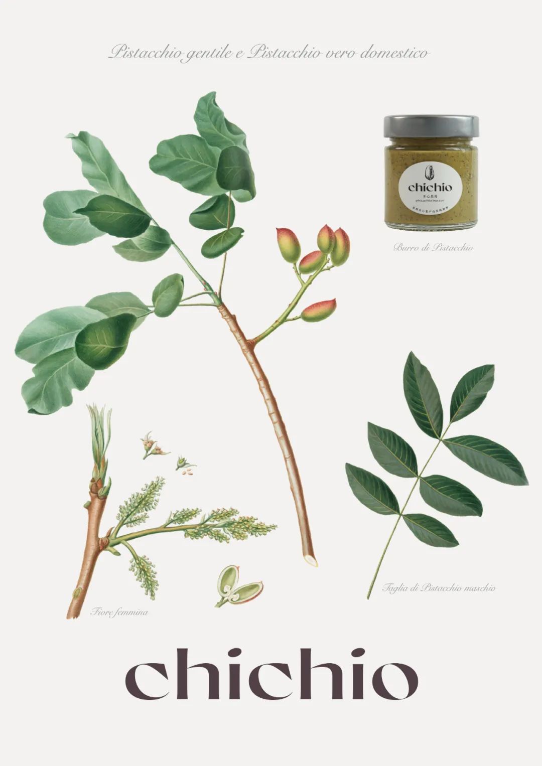 Chichio – Chichio Green Peeled Pistachio Butter