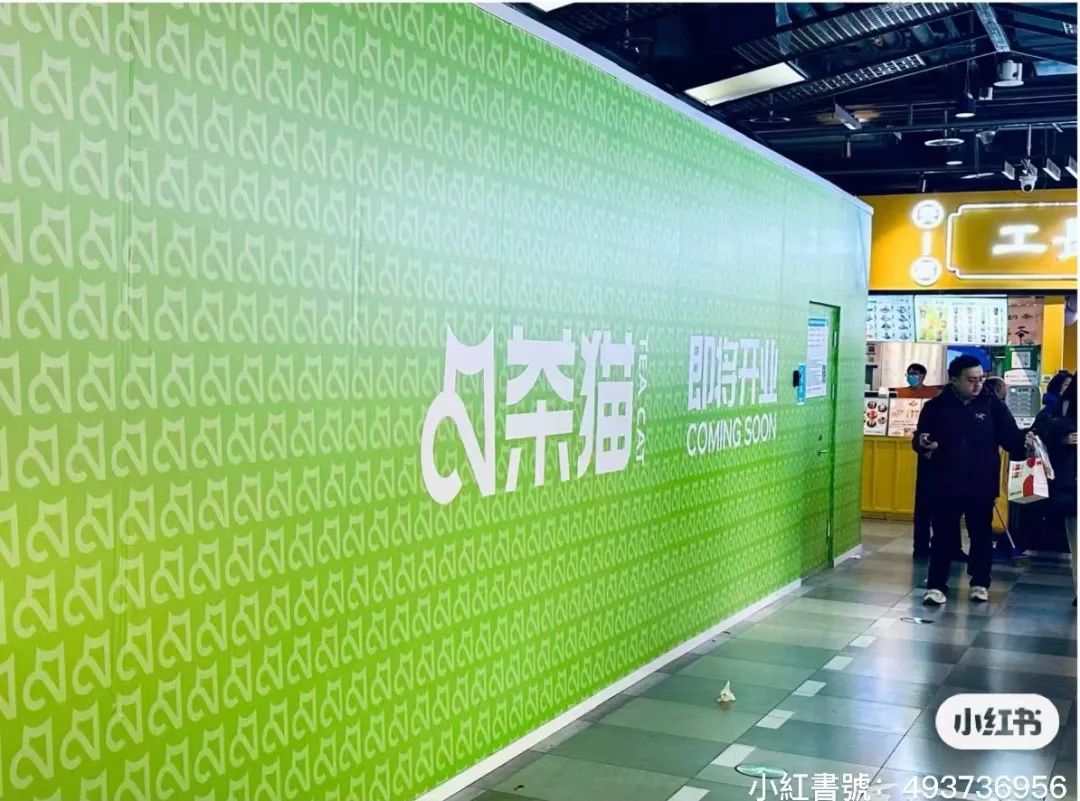 库迪旗下茶饮品牌「茶猫」全国首店将于北京开业-FoodTalks全球食品资讯