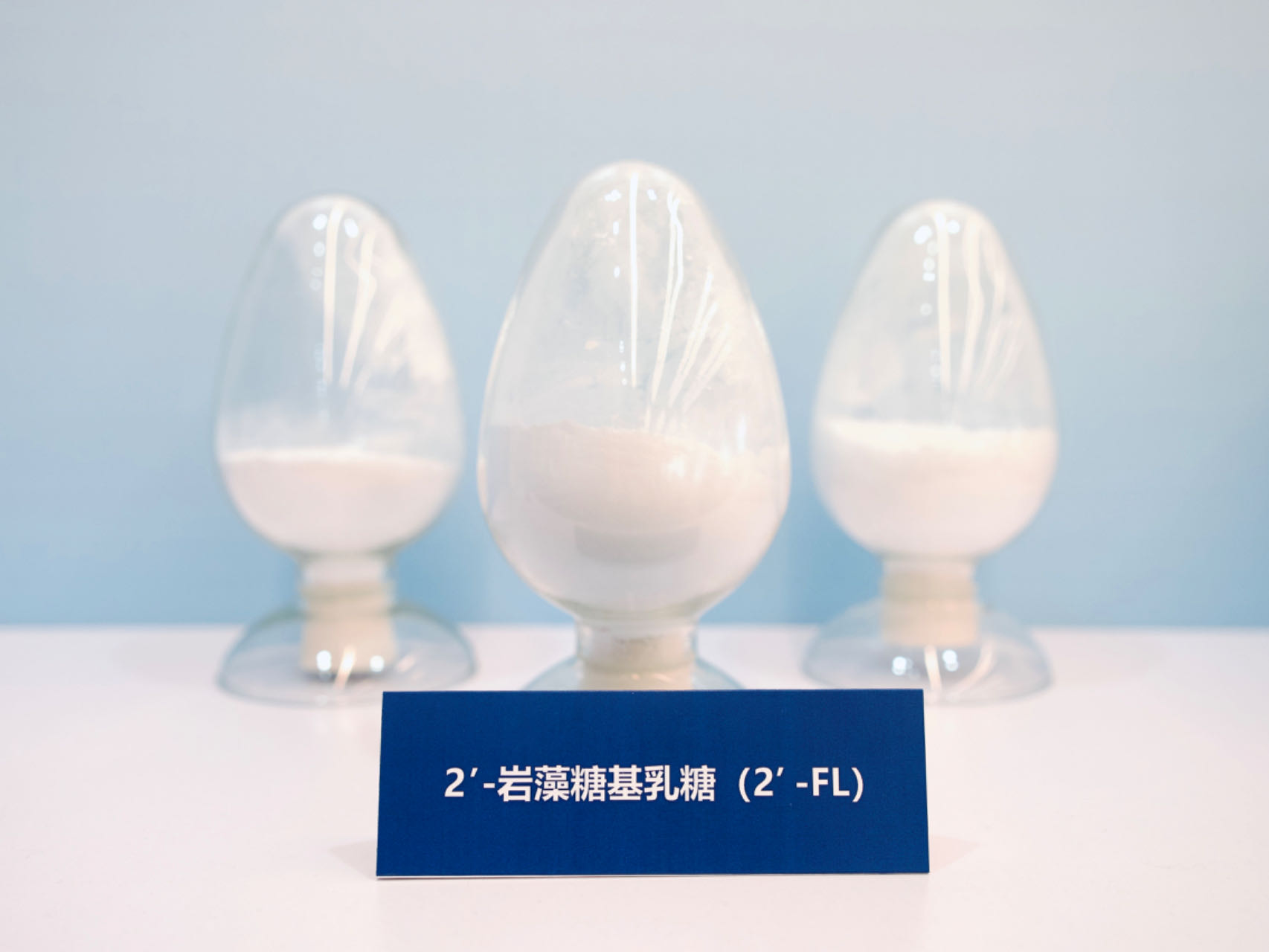Foodtalks沙龙议程来了!酵母蛋白、功能食品、HMOs、药食同源... | FBIF2024 展区-FoodTalks全球食品资讯