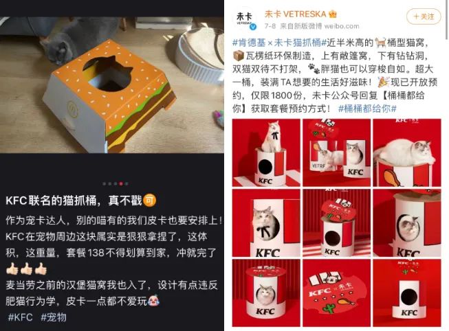 网友将“肯德基全家桶”猫窝和“麦当劳汉堡”猫窝作比较