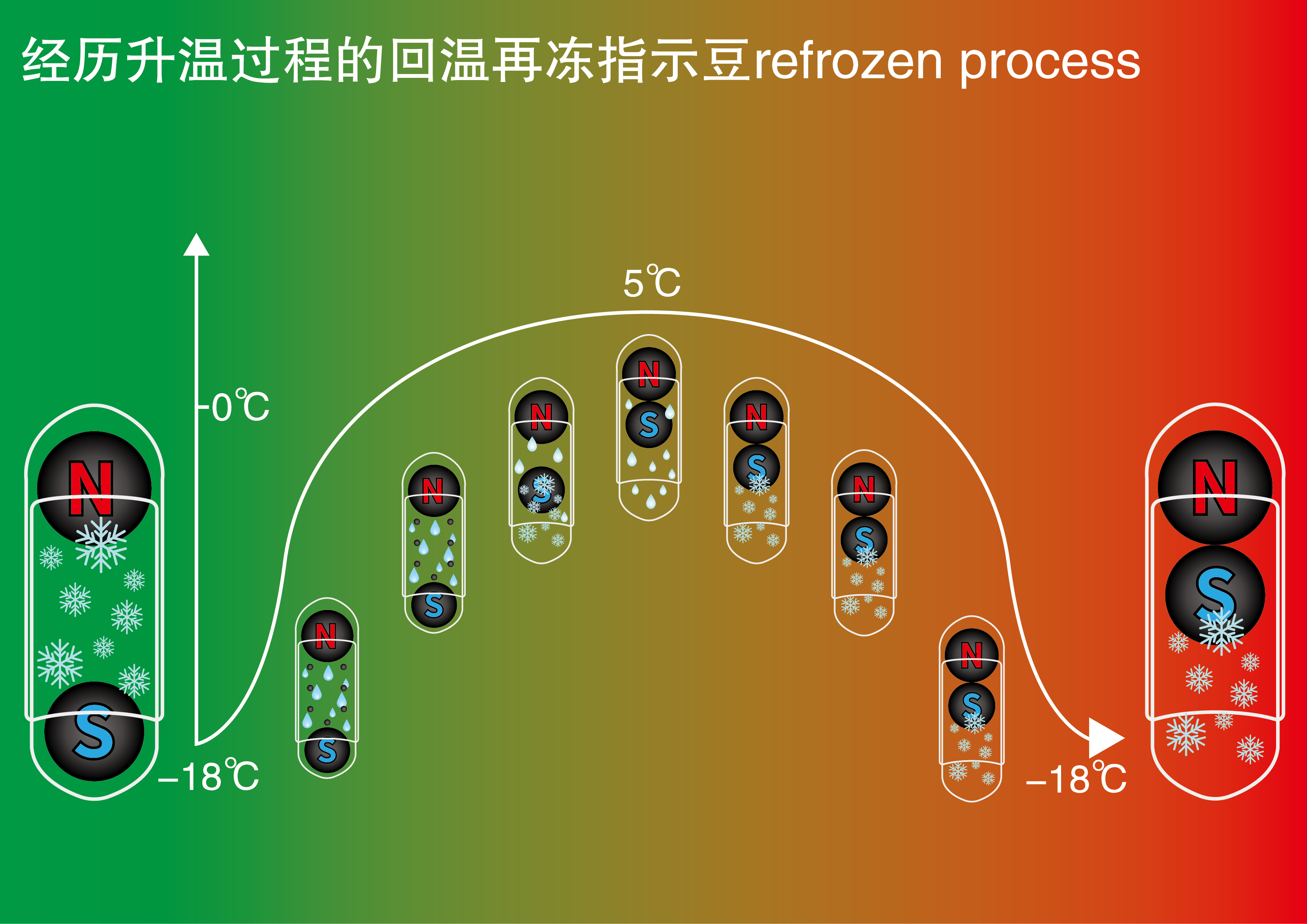 冻品回温再冻指示豆-沛然包装-FoodTalks食品产品库