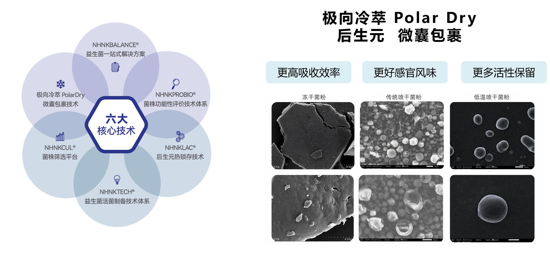 青岛诺和诺康生物科技提供益生菌原料 - FoodTalks食品供需平台