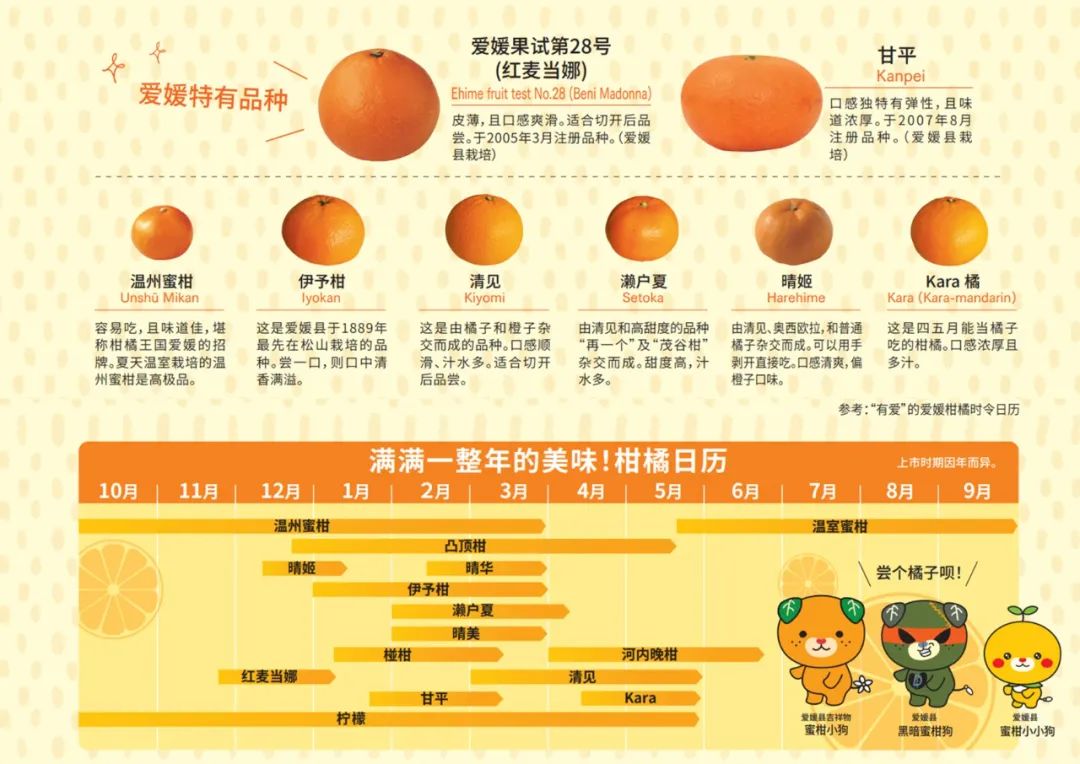 爱媛县柑橘品种与柑橘日历