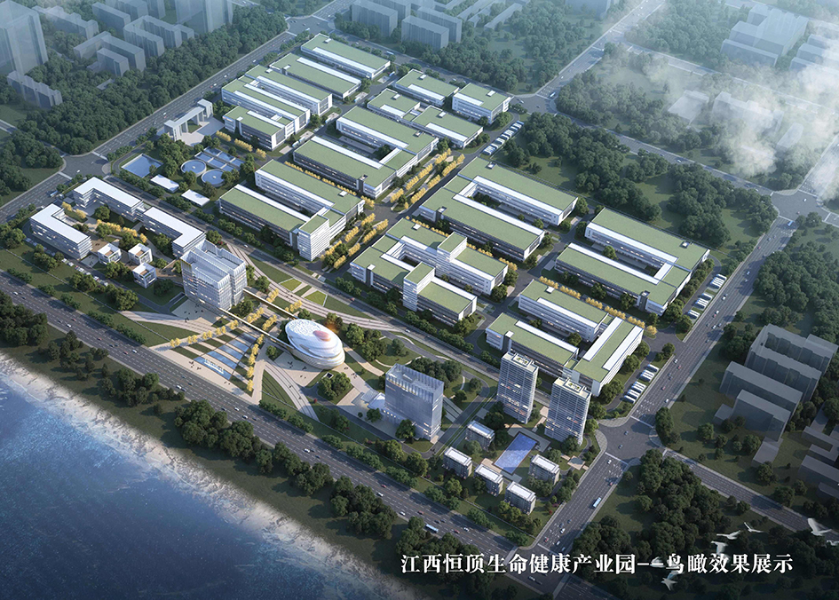 植物基产品配料企业汇总63家不二制油、双塔食品、万得福-FoodTalks食品供需平台(图8)