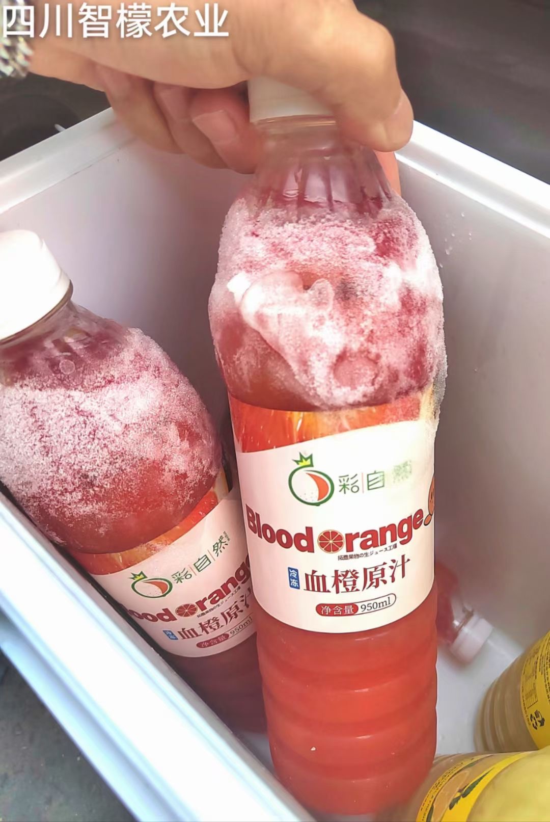 四川智檬农业提供冷冻原汁血橙汁 - FoodTalks食品供需平台