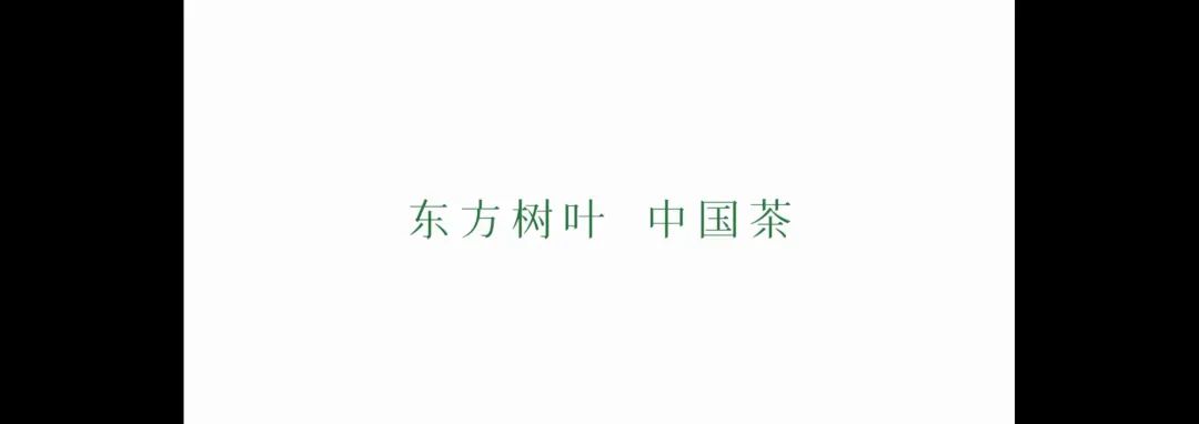 视频片尾