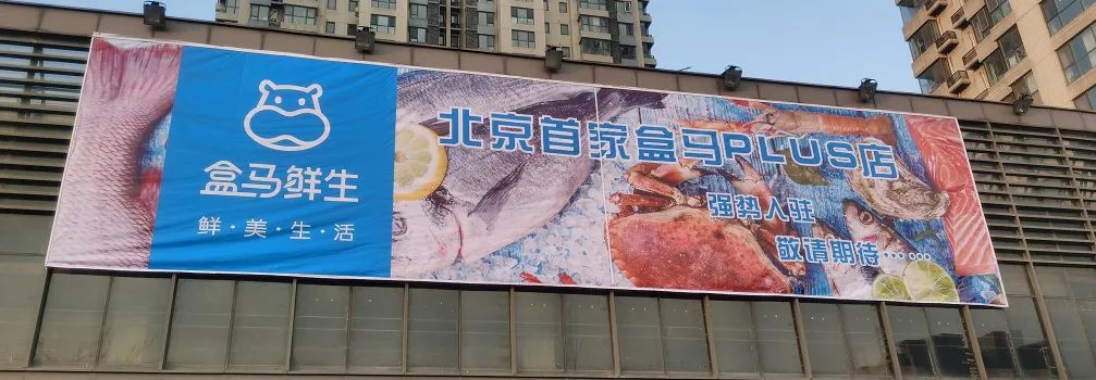 北京首家盒马PLUS店已于8月19日正式开业-FoodTalks全球食品资讯
