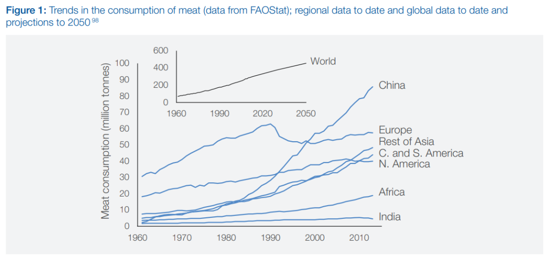 全球的肉类消费情况