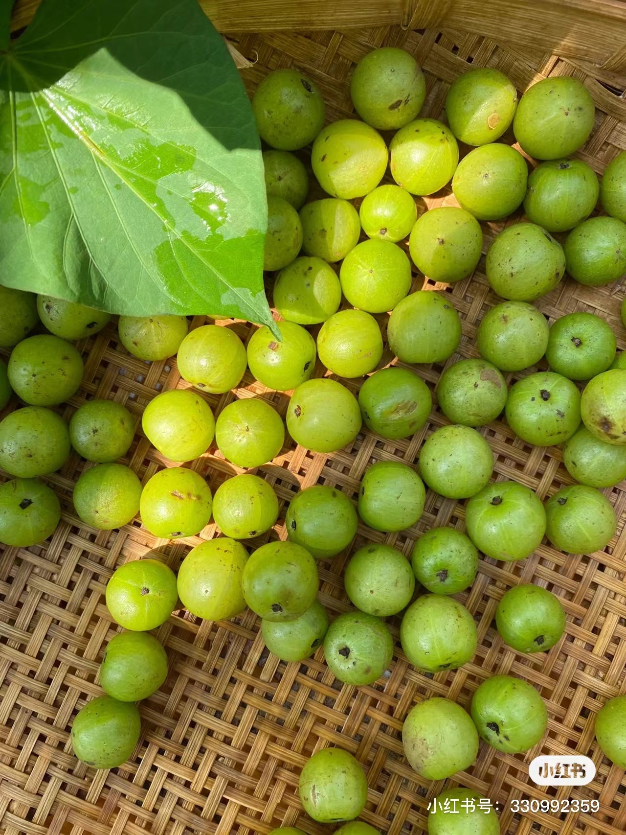 小品类撬动大市场!始终逆势向上的橄清如何引爆行业?-FoodTalks