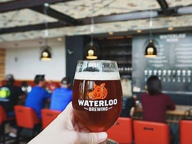 Waterloo Brewing产品