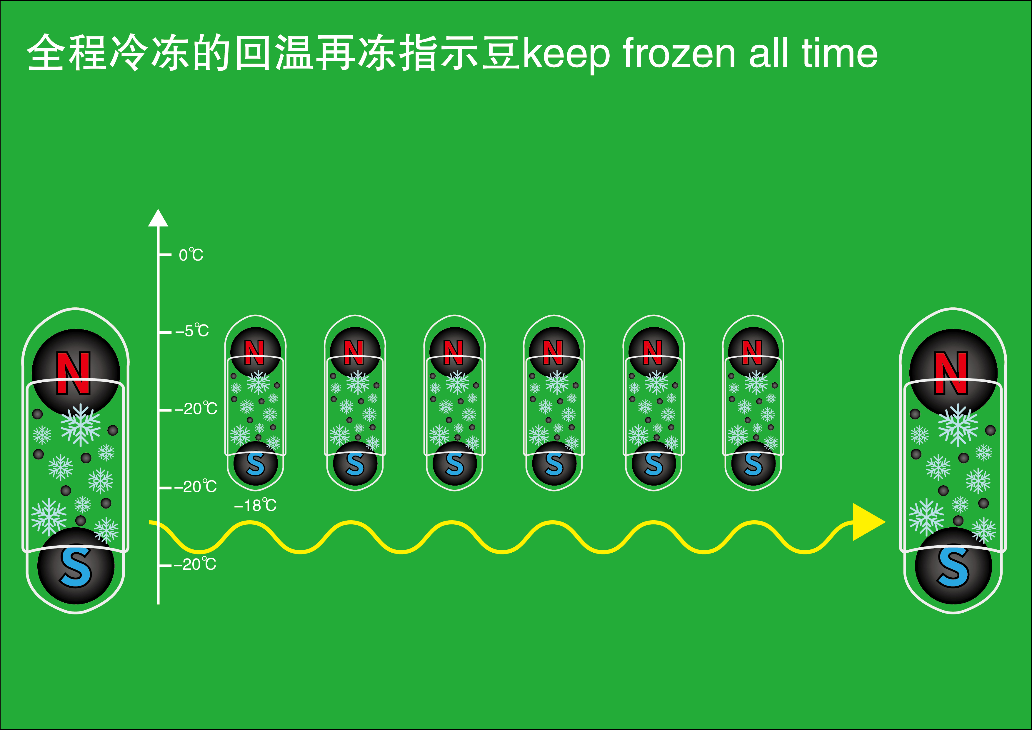 冻品回温再冻指示豆-沛然包装-FoodTalks食品产品库