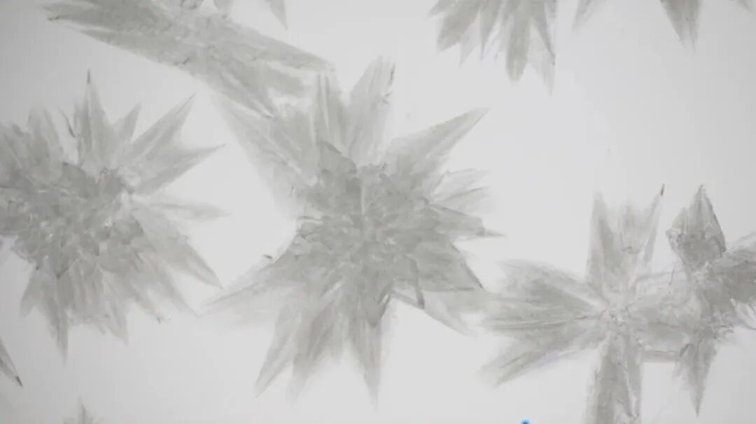 D-阿洛酮糖结晶过程