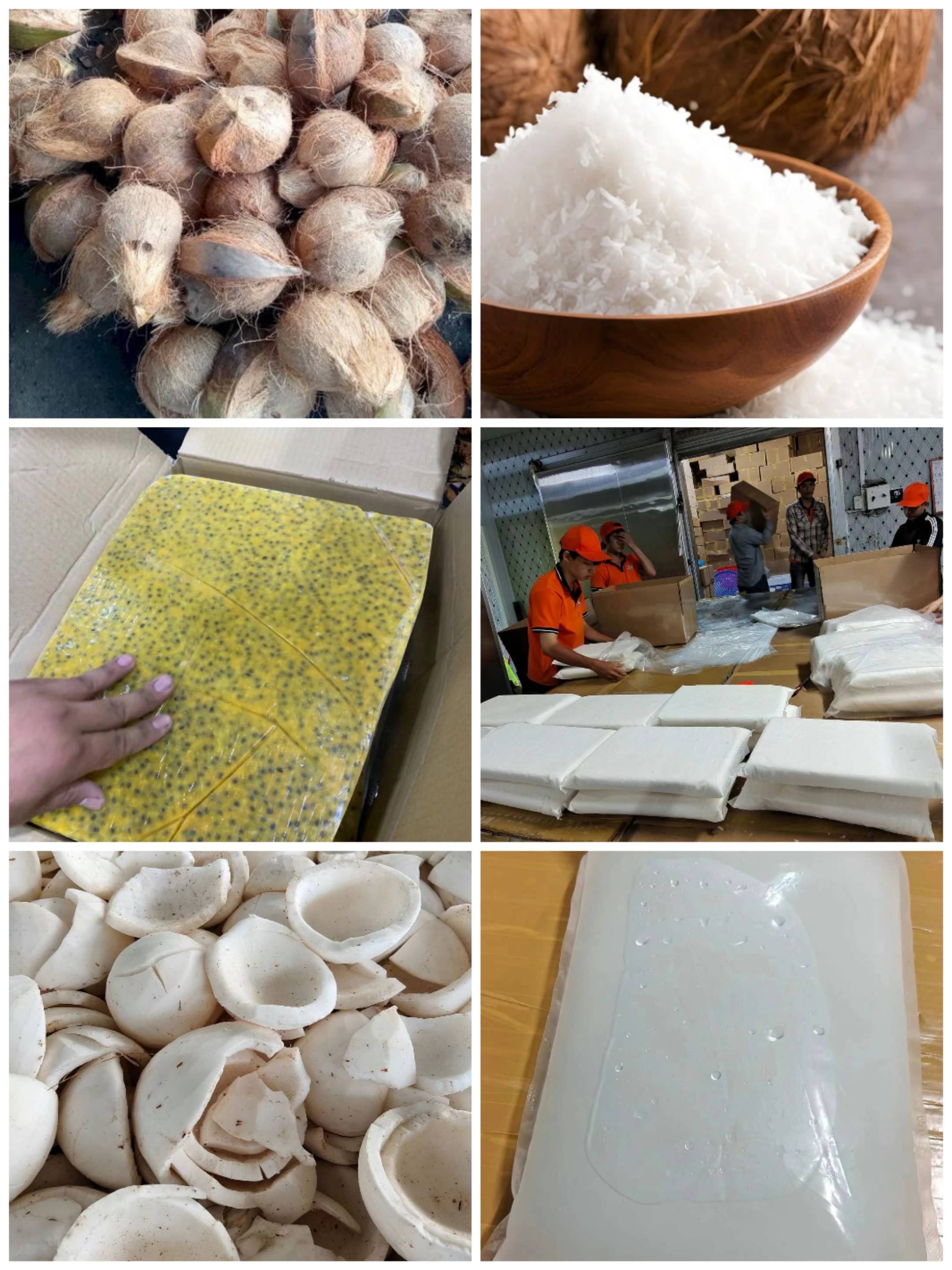广州畅优国际贸易提供椰子系列进口原料 - FoodTalks食品供需平台