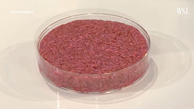 细胞培养肉