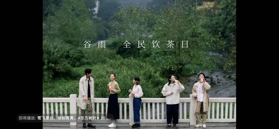 谷雨 全民饮茶日