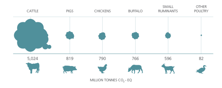 畜牧业公司碳排放