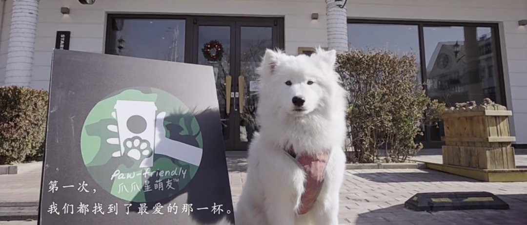 星巴克宠物友好门店