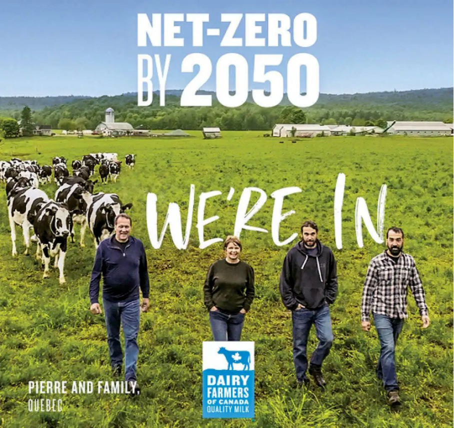 2023世界乳品创新奖揭晓，中国乳企伊利、光明、飞鹤获奖！FoodTalks