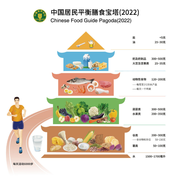 中国居民平衡膳食宝塔（2022）