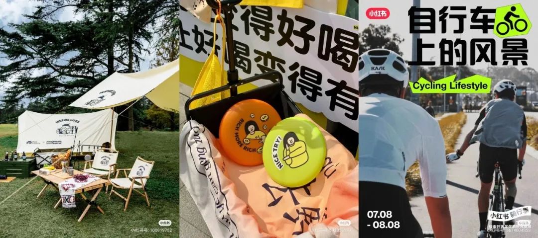 露营、飞盘、骑行