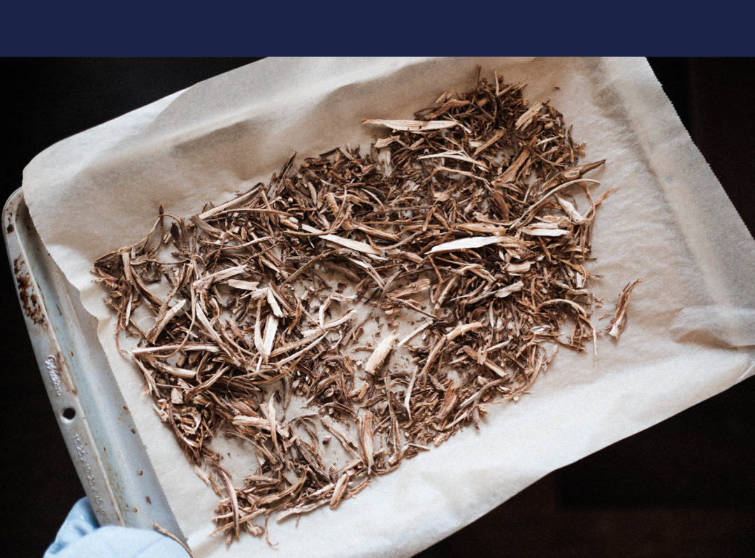 「菊苣」是完美的咖啡替代品吗？-FoodTalks全球食品资讯