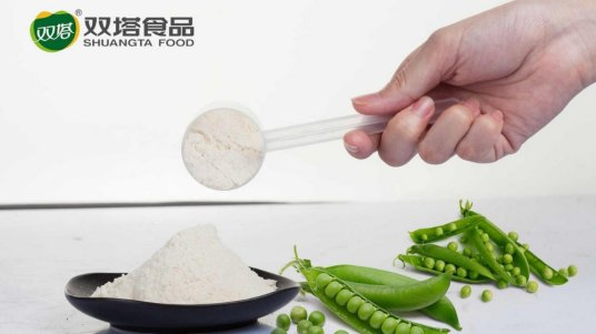 植物基产品配料企业汇总63家不二制油、双塔食品、万得福-FoodTalks食品供需平台(图6)