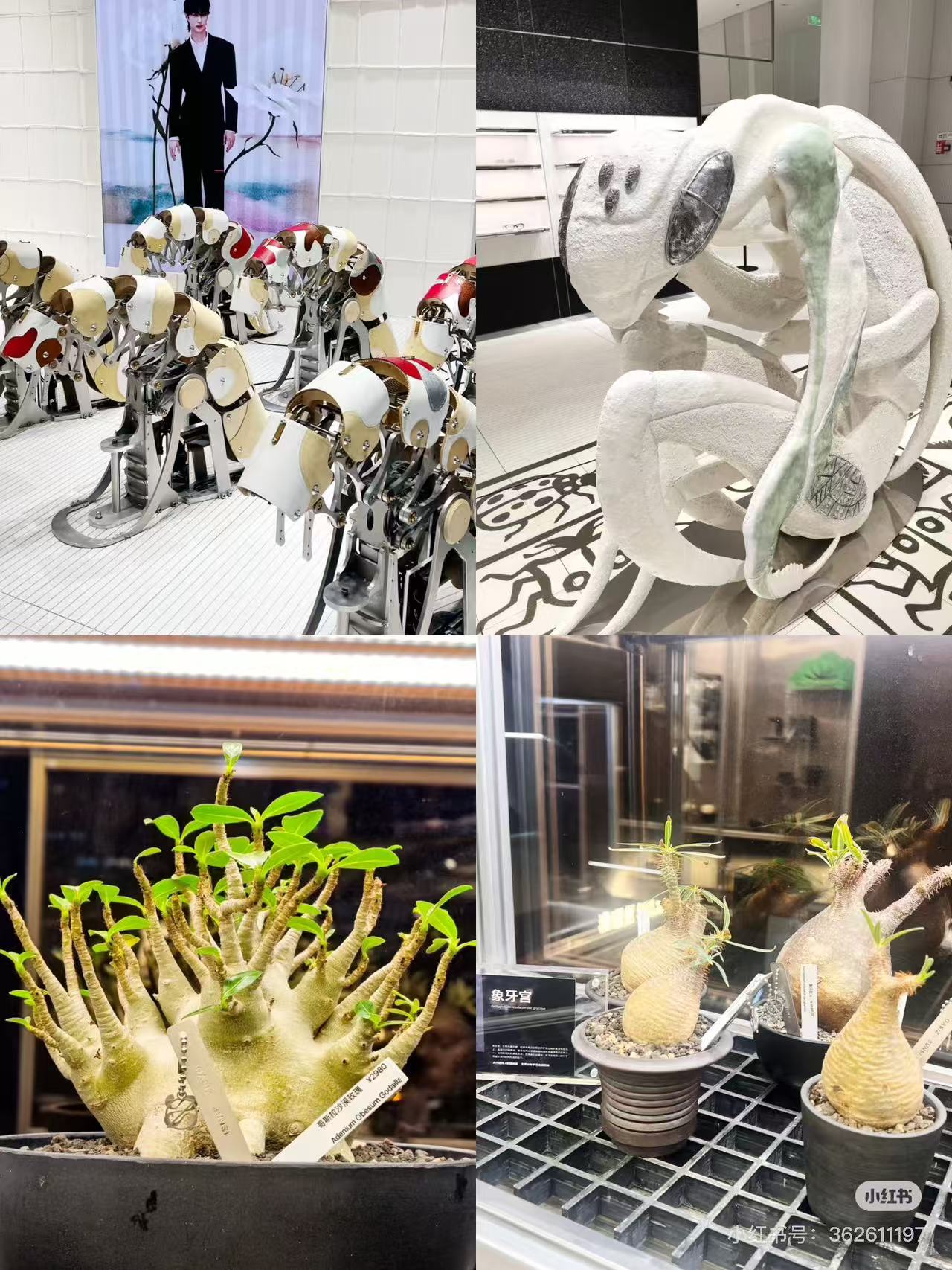 巨人展
