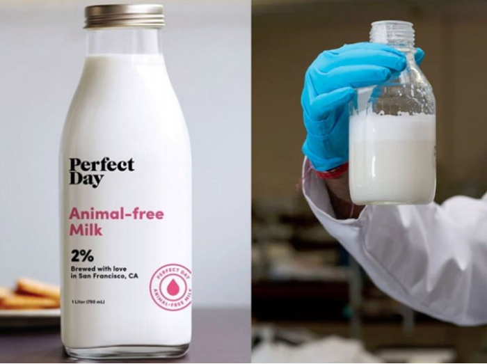 Perfect Day – Animal-Free Milk Protein