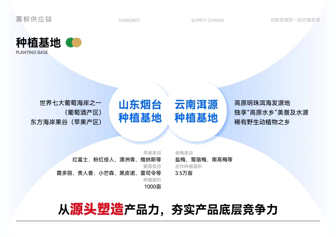 嘉桐上海供应链提供饮料、果酒、配制酒等品类OEM定制服务