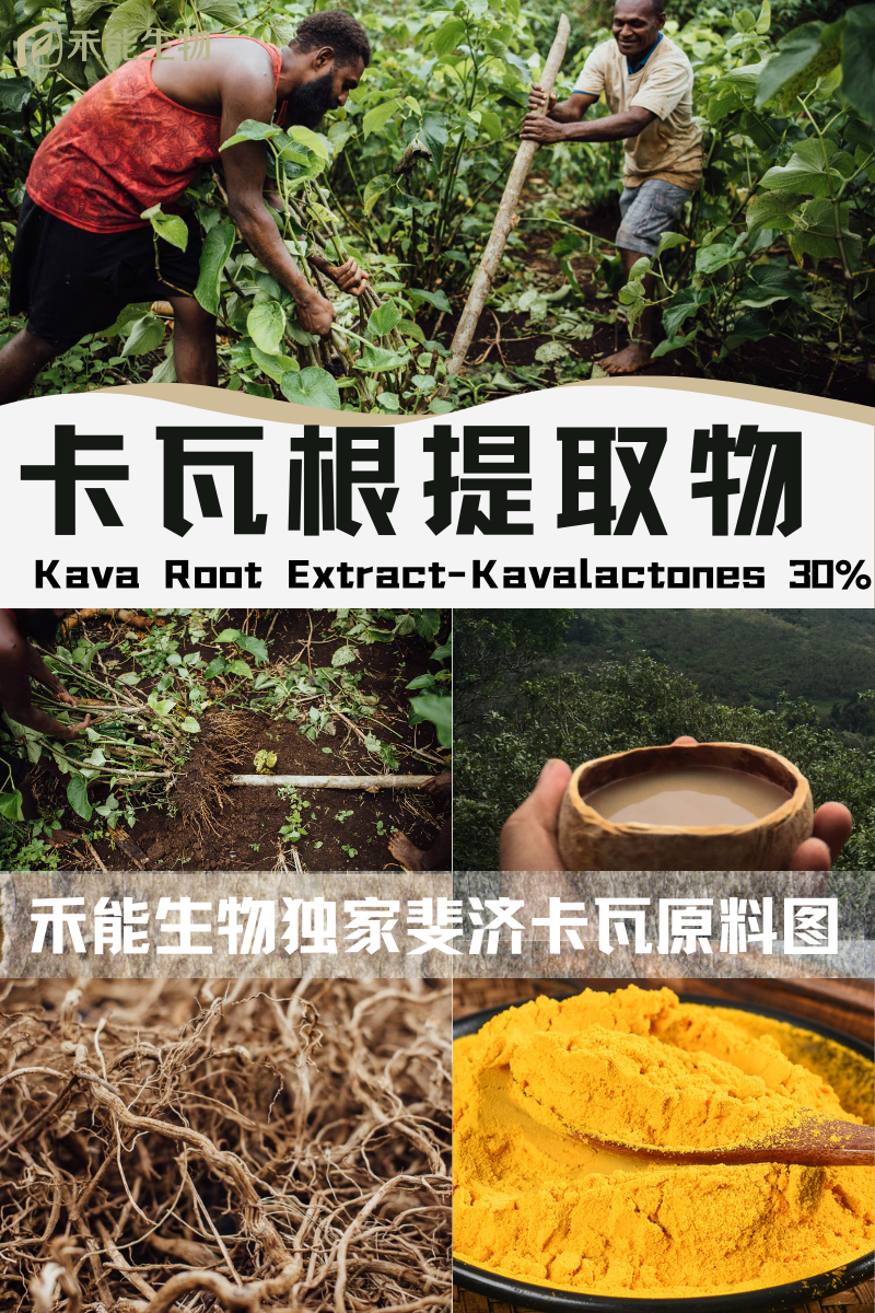 陕西禾能生物提供卡瓦胡椒提取物 - FoodTalks食品供需平台