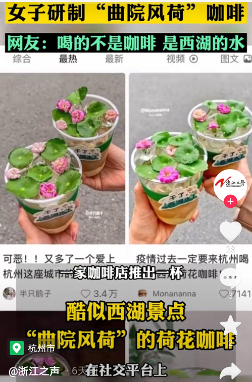 西湖荷花咖啡特调