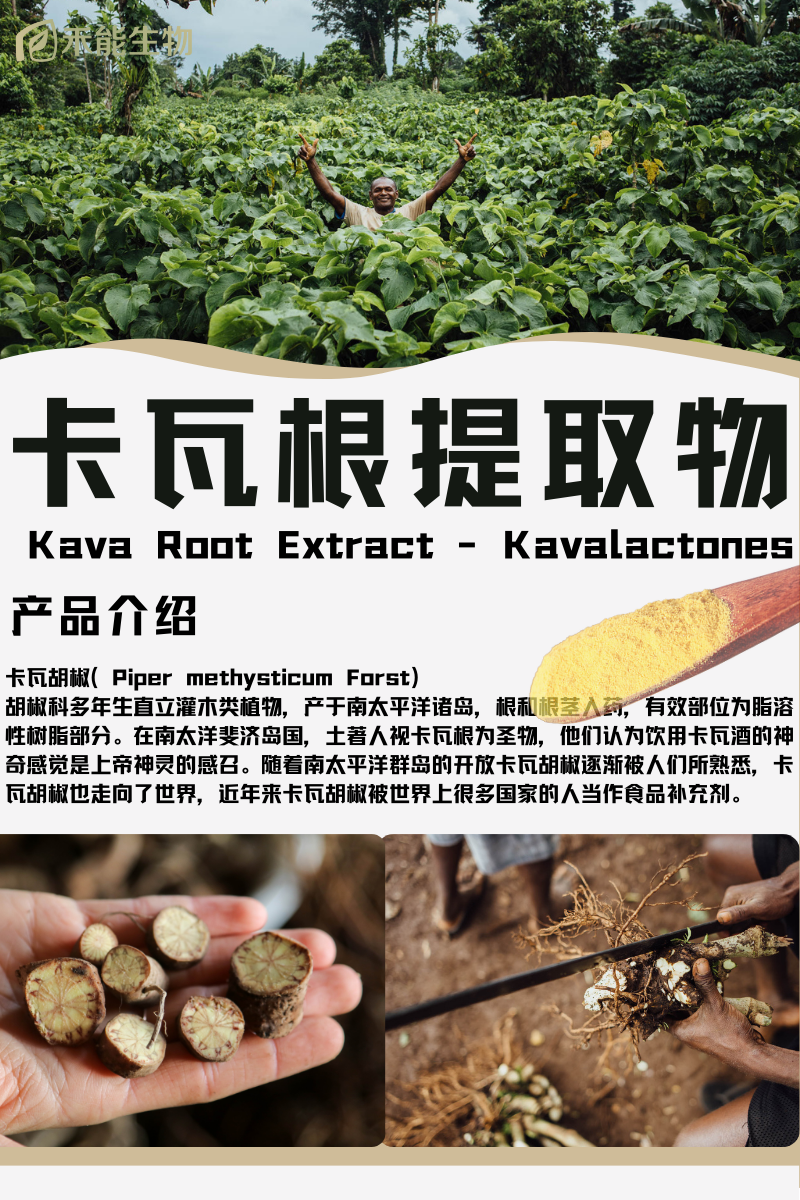 陕西禾能生物提供卡瓦胡椒提取物 - FoodTalks食品供需平台