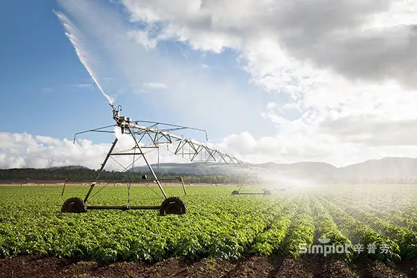 Simbot Farm From the Wilderness to the Global Table: Simplot's Potato Empire and ...