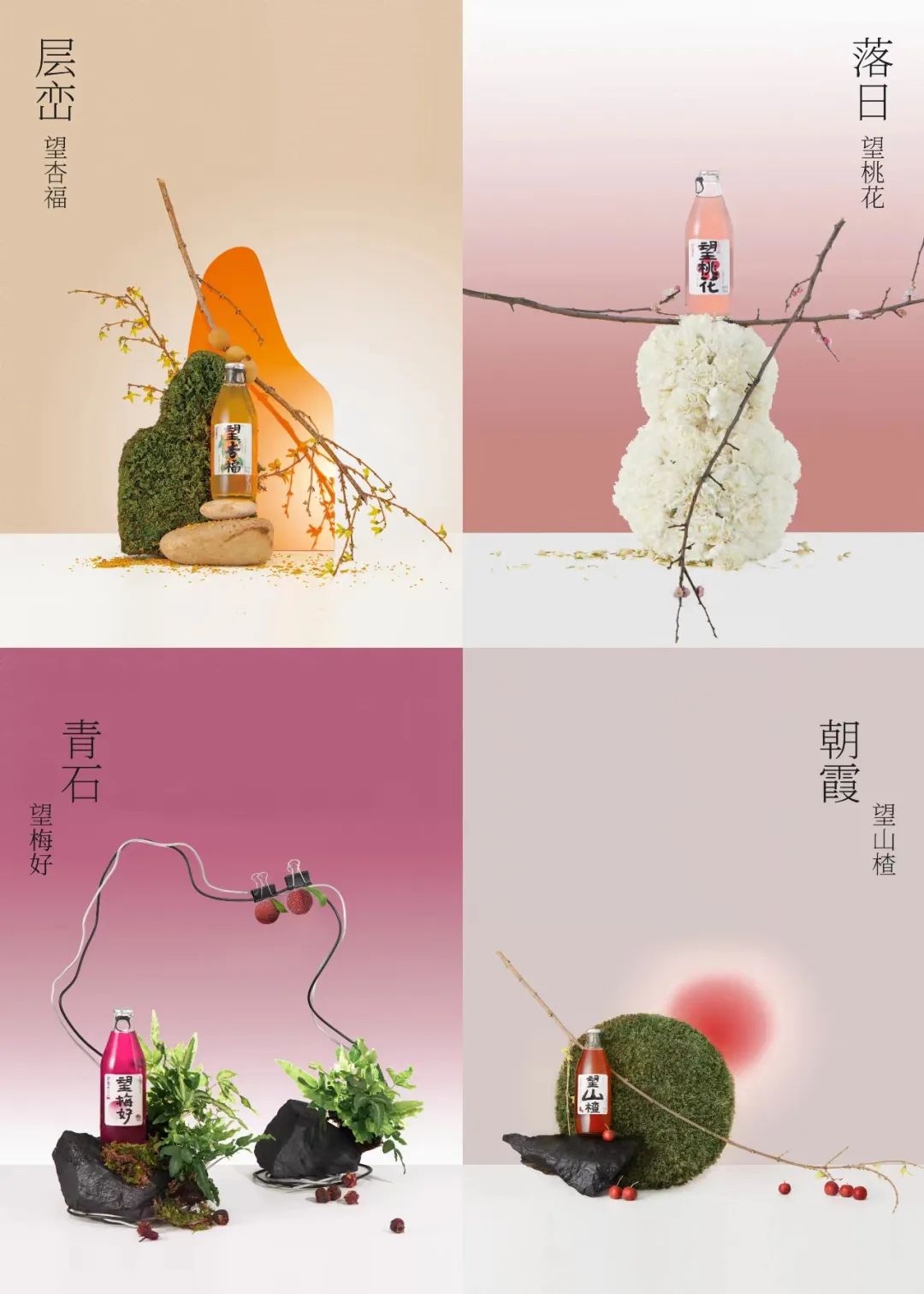 “望系列”产品