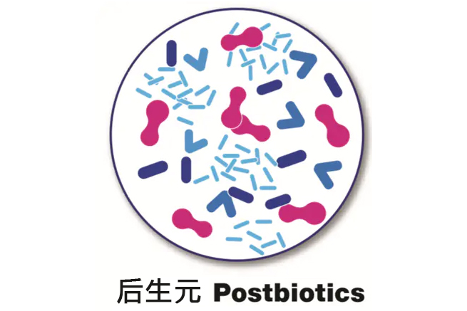 FoodTalks全球食品资讯网