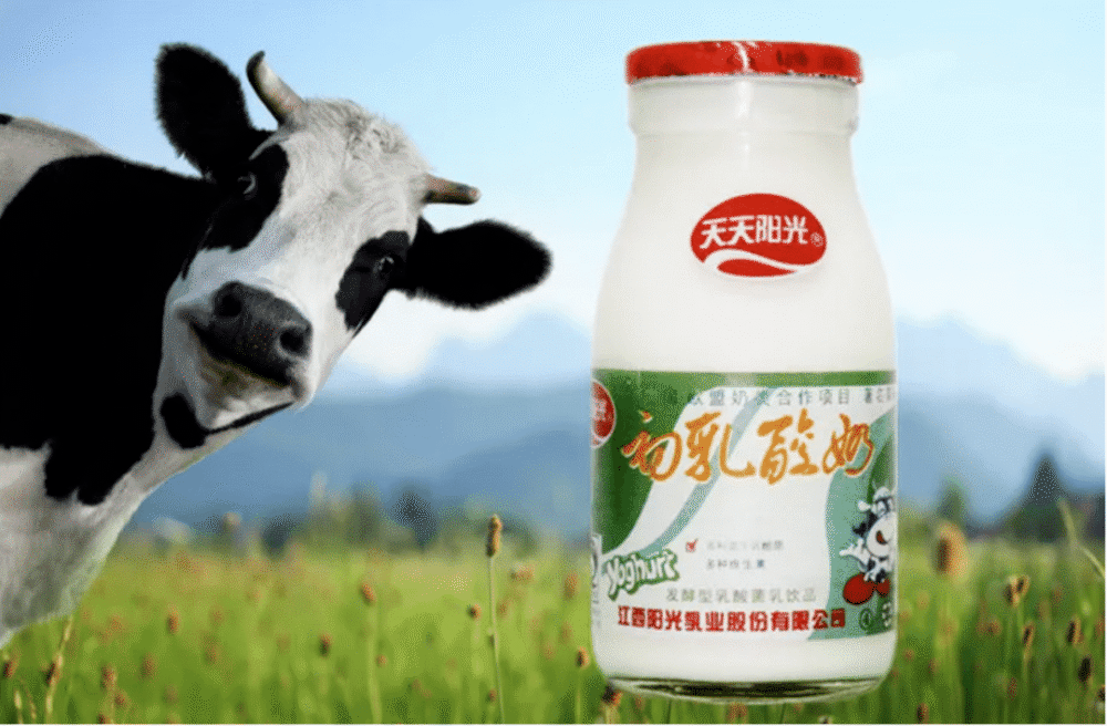阳光乳业