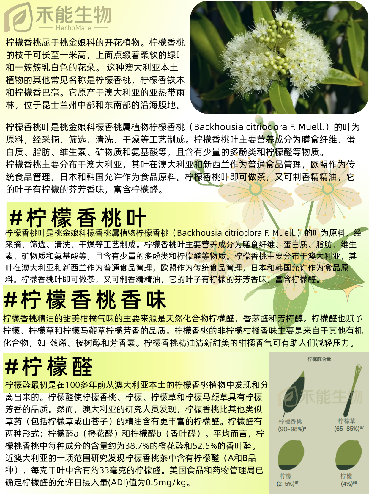 陕西禾能生物提供澳大利亚进口柠檬香桃叶Lemon Myrtle - FoodTalks食品供需平台