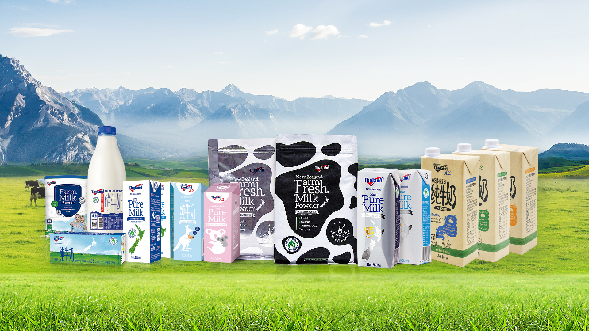Theland/纽仕兰公司提供新西兰进口纯牛奶和奶粉 - FoodTalks食品供需平台