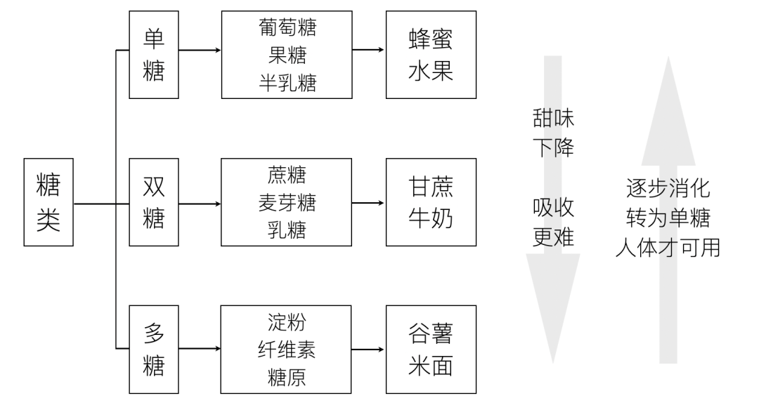 糖类