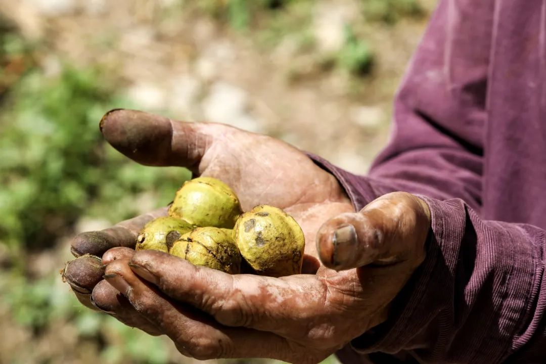 来伊份发布全新新鲜零食战略破局万亿零食下半场