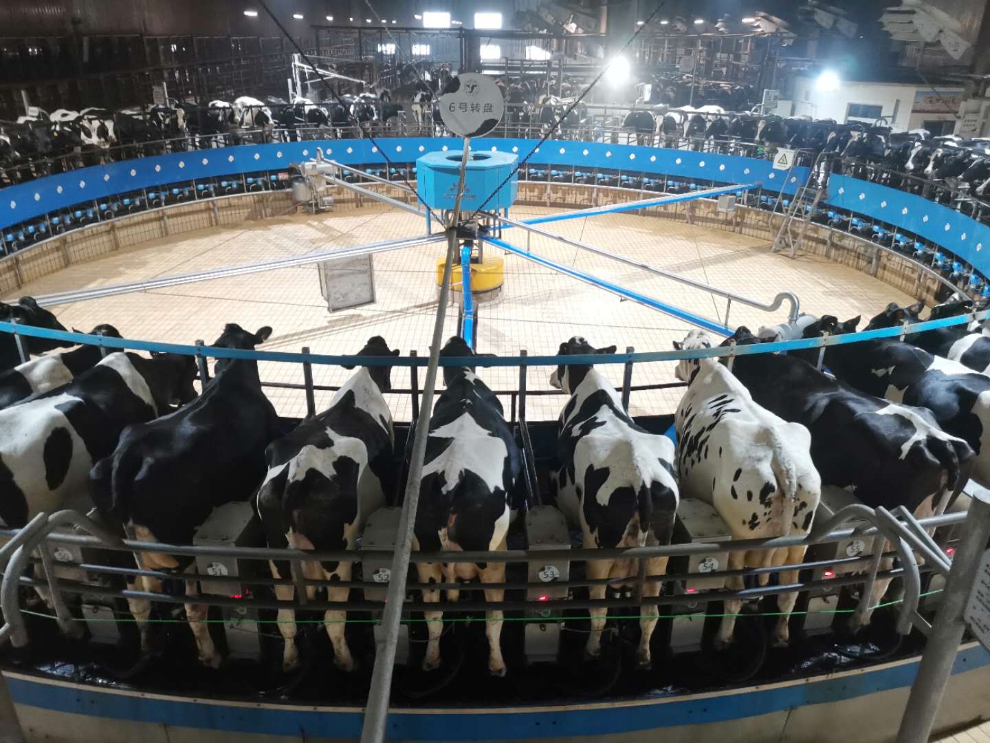 挤奶系统农场的现代牛奶店 库存照片. 图片 包括有 家畜, 字符串, 种田, 生产, 问题的, 母牛, 农场 - 30159974